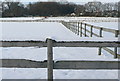 Paddocks at Flackwell Heath