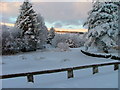 Snow covered pond at Achnasheen