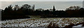 View Towards Lingfield, Surrey