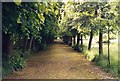 Audley End, Saffron Walden, Essex