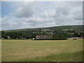 Field at Primrose Hill