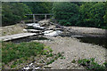 River Wansbeck near Mitford