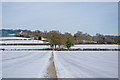 Footpath from Gadbrook House to Gadbrook Farm