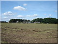 The  Bungalow  and  Foxcovert  Farm