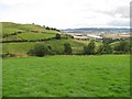 Grassland, The Binn