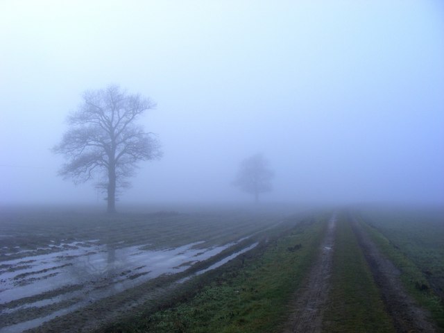 Shrouded Footpath in Livermere Park © Stuart Shepherd cc-by-sa/2.0 ...