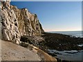 TQ3801 : Cliffs & Beach East of Saltdean by Paul Gillett