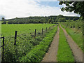 Track leading up the side of Brown Clee Hill