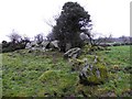 Chambered Grave, Legland