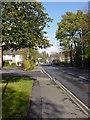 Station Road, West Moors, looking north