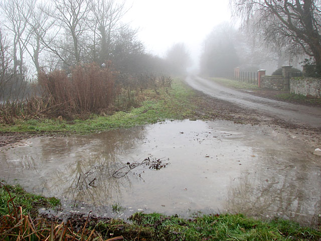 Frozen puddle beside Lug's Lane