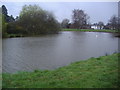 Shalford village pond