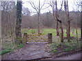 Gate to field, Honeysuckle Bottom, Effingham