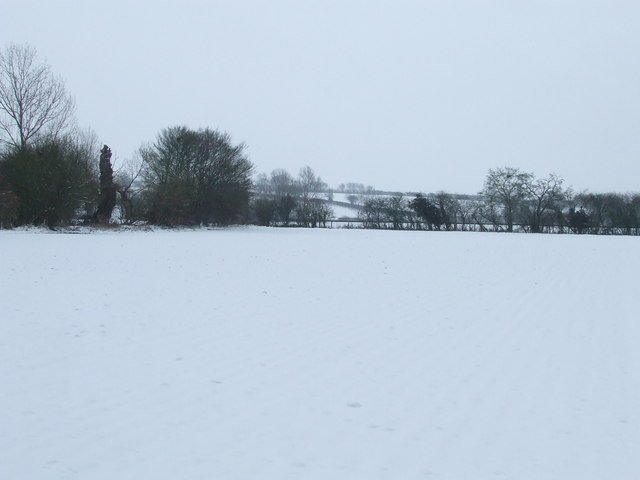 Snow Covered Fields