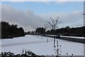 Snow on the footpath