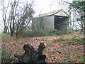 TF5715 : Disused farm shed at Salgate Farm, Tilney All Saints by Richard Humphrey