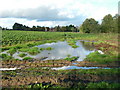 Pool in a field corner