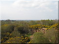 Irby Quarry view towards the Irish Sea