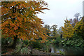 SP0684 : Autumn colour beside a pond in Cannon Hill Park, Birmingham by Phil Champion