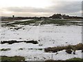 Snow covered field, Urquhart