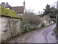 The road at Oakshott