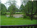 Pond outside Orange Tree pub, Totteridge