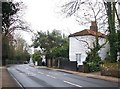 Petersham Road, with weather-boarded cottage