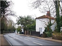TQ1872 : Petersham Road, with weather-boarded cottage by Stefan Czapski