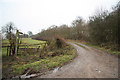 Ossington bridleway