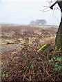 Shilton Lane/Drumcross Heavy Anti-Aircraft Battery Entrance