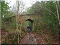 Bridge over Bridleway