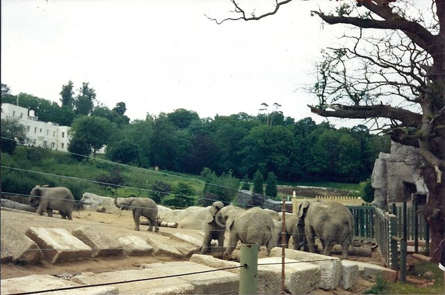 windsor safari park then and now
