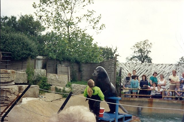 windsor castle safari park