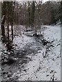 Frozen River Trym, Badocks Wood