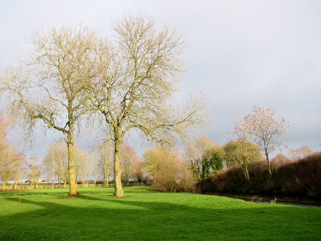 Abbey Farm in Old Buckenham - the site... © Evelyn Simak :: Geograph ...