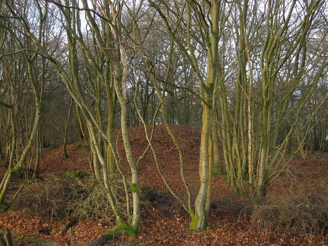 Mound, Kiln Wood