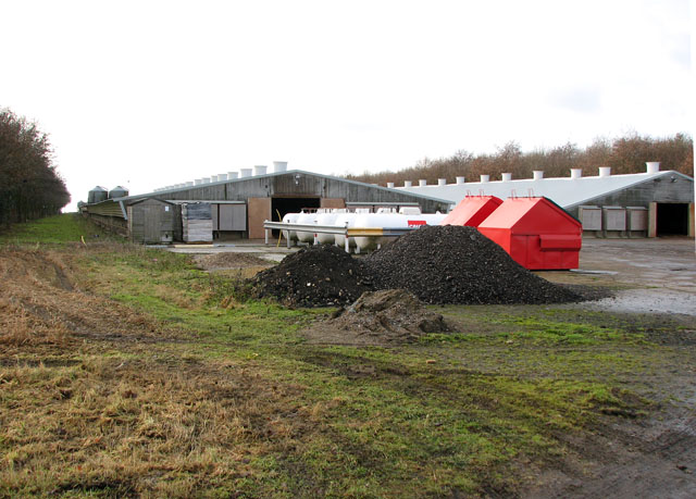 Poultry houses at Airfield Chicken Farm