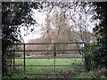 TM0491 : Gate into pasture by Old Buckenham Fen by Evelyn Simak