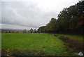 Countryside south of Wadhurst