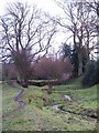 Old mill dam, Ampleforth