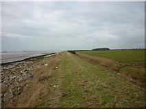TA2517 : Walking west along the River Humber by Ian S