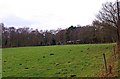 Field adjacent to Camp Hill Road