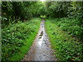 Stockbridge - The Test Way Footpath