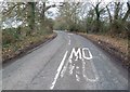 Cautionary road markings in Copse Lane