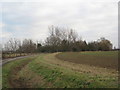 View towards Crowle Grange