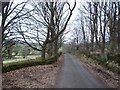 Wooded Lane near Goss Hall