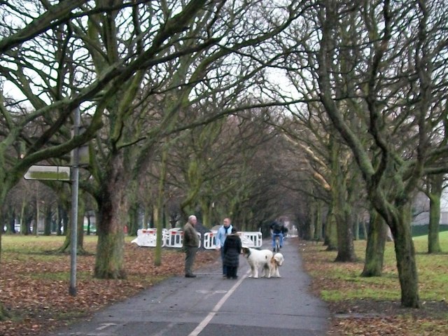 Dog walkers in Fairview Park