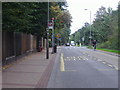 Bus stop on Putney Heath