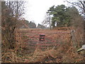 Rusted gate near the Hall, North Clifton