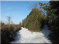 Bridleway junction beside the A256 Dover Road